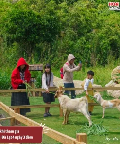 Lưu ý khi tham gia tour Vũng Tàu Đà Lạt 4N3Đ