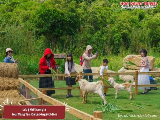 Lưu ý khi tham gia tour Vũng Tàu Đà Lạt 4N3Đ