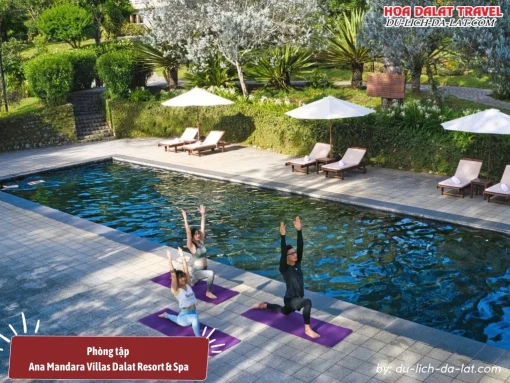 Tập yoga bên hồ bơi ở Ana Mandara Villas