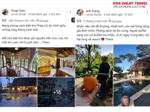 Đánh giá của khách hàng Ana Mandara Villas Dalat Resort & Spa dựa trên Google Maps