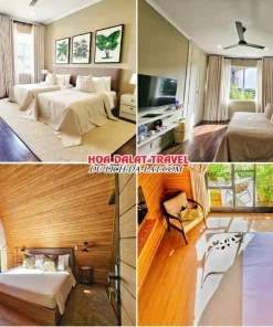 Các loại phòng tại Bạch Place Đà Lạt