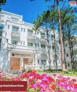 Cereja Hotel & Resort Dalat là khu nghỉ dưỡng 4 sao sang trọng nằm giữa đồi thông xanh yên bình