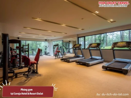 Phòng tập gym của Cereja Resort miễn phí cho khách lưu trú, trang bị đầy đủ các thiết bị hiện đại