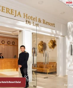 Quy định và chính sách tại Cereja Hotel và Resort Dalat