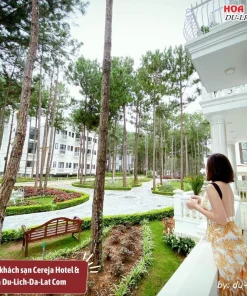 Lý do nên đặt phòng khách sạn Cereja Hotel và Resort Dalat qua Du-Lich-Da-Lat Com