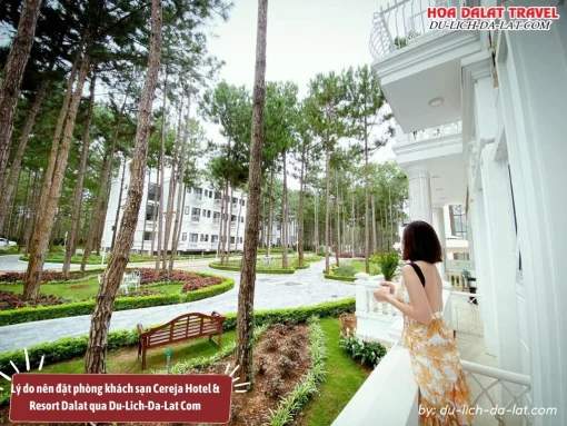 Lý do nên đặt phòng khách sạn Cereja Hotel và Resort Dalat qua Du-Lich-Da-Lat Com