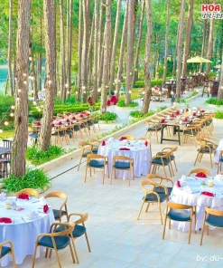 Trải nghiệm ẩm thực trong không gian nhà hàng ngoài trời của Cereja Hotel và Resort Đà Lạt trong lành