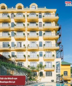Goldient Boutique Đà Lạt nổi bật với tông màu vàng dịu nhẹ, thiết kế phong cách Đông Dương ấm áp và tươi mới