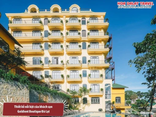 Goldient Boutique Đà Lạt nổi bật với tông màu vàng dịu nhẹ, thiết kế phong cách Đông Dương ấm áp và tươi mới