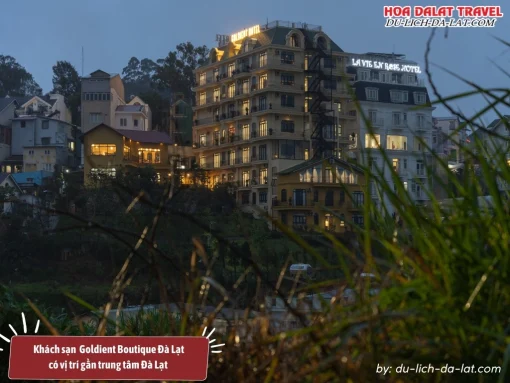 Goldient Boutique Hotel có vị trí gần trung tâm Đà Lạt