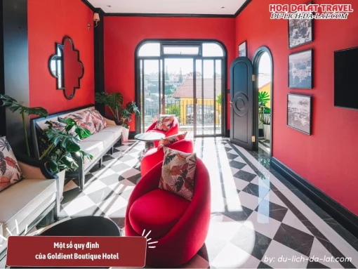 Quy định của Goldient Boutique Hotel