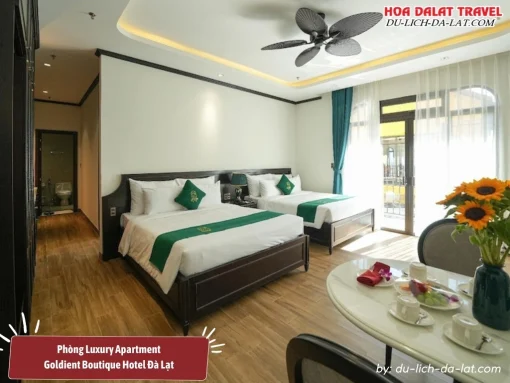 Phòng Luxury Apartment tại Goldient Boutique Hotel có diện tích 80m2, trang bị giường đôi lớn và có tầm nhìn hướng ra hồ bơi, có tiện nghi phòng tắm riêng, tivi, két sắt, bàn làm việc, khu vực tiếp khách