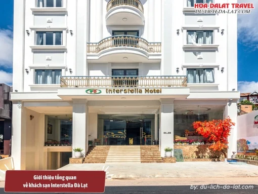 Interstella là khách sạn 3 sao ở Đà Lạt với lối kiến trúc sang trọng, hiện đại, mang dấu ấn phương Tây