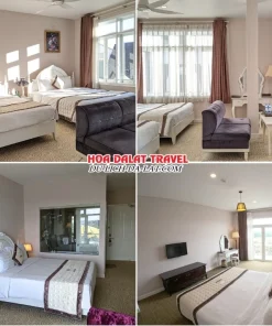 Các loại phòng nghỉ tại khách sạn Ngọc Phát Đà Lạt