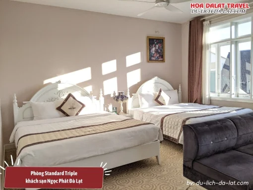 Phòng Standard Triple tại khách sạn Ngọc Phát Đà Lạt có diện tích khoảng 30m2, trang bị 1 giường đôi và 1 giường đơn, có cửa sổ thoáng mát
