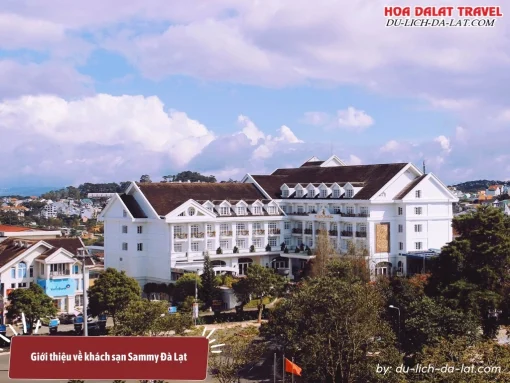 Sammy Đà Lạt là khách sạn 4 sao có kiến trúc cổ điển Pháp kết hợp không gian gần gũi và thân thiện