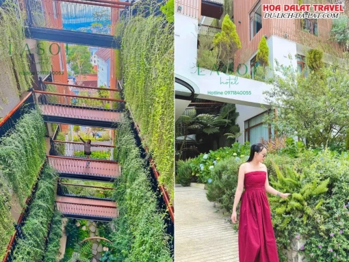 Khuôn viên xanh mát thân thiện của Lasol Boutique Hotel Đà Lạt