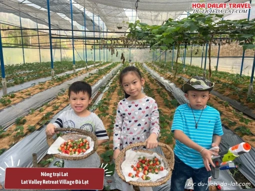 Tham quan nông trại Lat, hái dâu ở Lat Valley Retreat Village