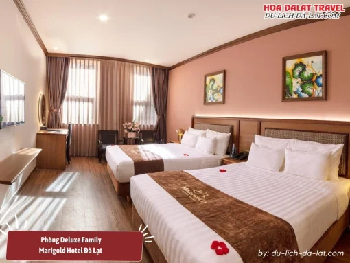 Phòng Deluxe Family tại Marigold Hotel Đà Lạt diện tích khoảng 35m2, trang bị 2 giường đôi lớn, có cửa sổ lớn, sàn gỗ và các thiết bị hiện đại