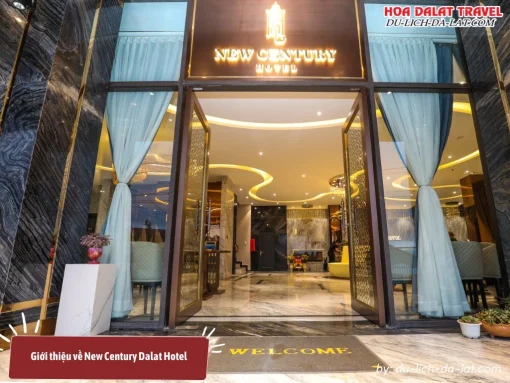 New Century Dalat Hotel là khách sạn 3 sao mới, sạch sẽ với dịch vụ tốt