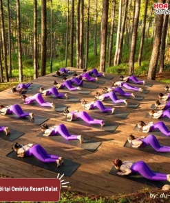 Tập yoga giữa rừng thông trong khuôn viên Omirita Resort