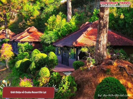 Osaka Resort Đà Lạt, còn được gọi là Osaka Village Dalat là khu nghỉ dưỡng 3 sao nằm trên đồi thông yên tĩnh, xanh mát