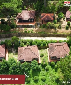 Khuôn viên xung quanh Osaka Village Dalat được bao phủ bởi rừng thông yên bình và thư giãn