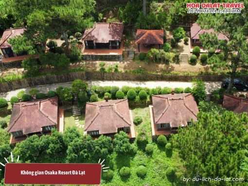 Khuôn viên xung quanh Osaka Village Dalat được bao phủ bởi rừng thông yên bình và thư giãn