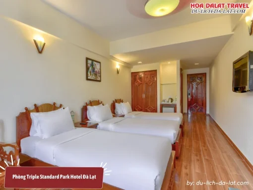 Phòng Triple Standard tại Park Hotel Đà Lạt có diện tích 35m2, được trang bị 3 giường đơn kích thước 1m x 2m phù hợp cho 3 người lớn