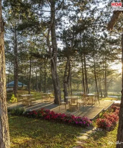 Khuôn viên Rừng Lá Kim Resort Đà Lạt