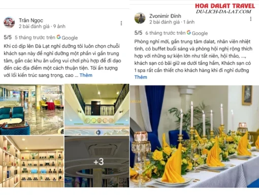 Đánh giá của khách hàng về Sandals Camellia Hotel dựa trên Google Maps