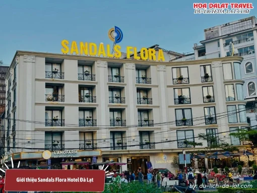 Sandals Flora Hotel là khách sạn 3 sao ngay trung tâm thành phố và liền kề chợ Đà Lạt