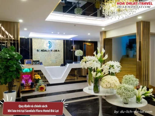 Quy định và chính sách khi lưu trú tại Sandals Flora Hotel