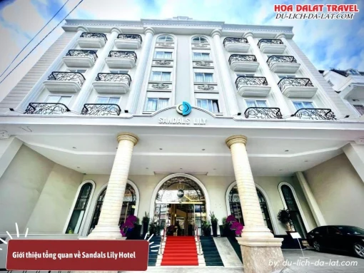 Sandals Lily Hotel là khách sạn tiêu chuẩn 4 sao Đà Lạt có vị trí trung tâm