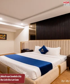 Lý do nên đặt phòng khách sạn Sandals Lily Hotel Đà Lạt qua Du-Lich-Da-Lat Com