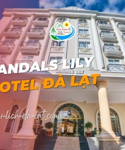 Sandals Lily Hotel Đà Lạt