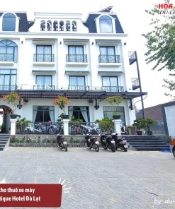 Dịch vụ cho thuê xe máy ở Stillus Boutique Hotel