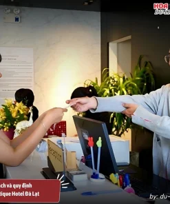 Chính sách, quy định của khách sạn Stillus Boutique Hotel