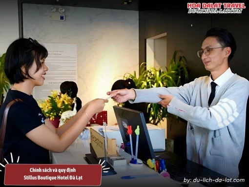 Chính sách, quy định của khách sạn Stillus Boutique Hotel