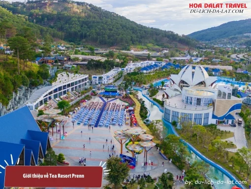 Tea Resort Prenn là khu nghỉ dưỡng 5 sao có không gian nghỉ dưỡng yên bình