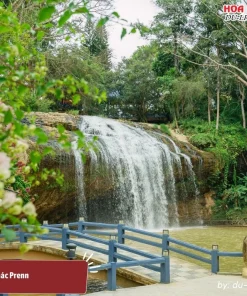 Thác Prenn đẹp thơ mộng giữa khuôn viên rừng thông xanh mát