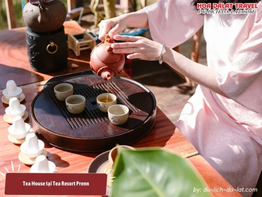 Trải nghiệm nghệ thuật thưởng trà tinh tế ở Tea House Tea Resort Prenn