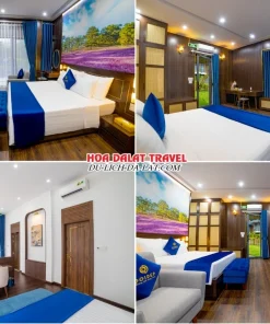 Hệ thống phòng và villa tại Tea Resort Prenn