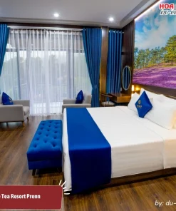 Pine House tại Tea Resort Prenn có diện tích khoảng 27m2, trang bị giường đôi cỡ lớn, tiện nghi điều hòa, minibar, tivi, phòng tắm riêng