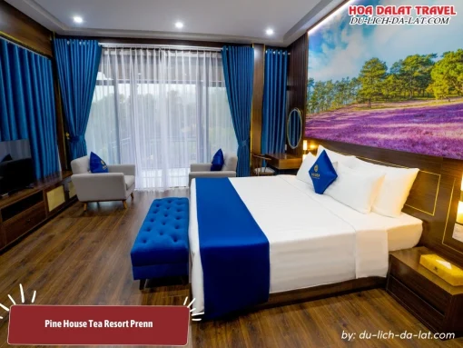 Pine House tại Tea Resort Prenn có diện tích khoảng 27m2, trang bị giường đôi cỡ lớn, tiện nghi điều hòa, minibar, tivi, phòng tắm riêng
