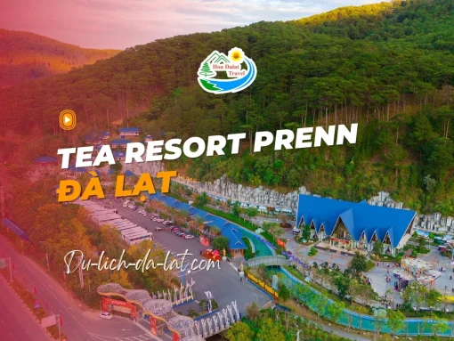 Tea Resort Prenn