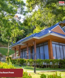Tea Villa tại Tea Resort Prenn có thiết kế tinh tế và tiện nghi hiện đại