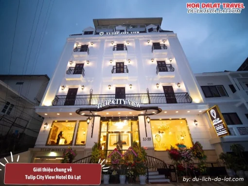 Tulip City View Hotel Đà Lạt là khách sạn 3 sao có thiết kế tông màu trắng sang trọng và hiện đại