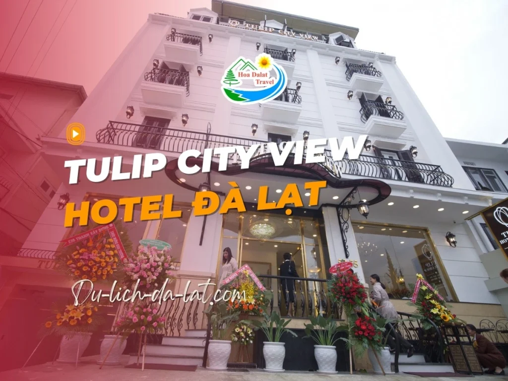 Tulip City View Hotel Đà Lạt