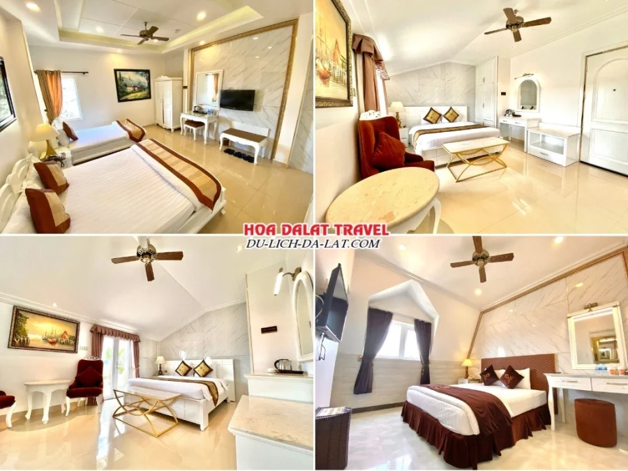 Các loại phòng ở Tulip City View hotel Đà Lạt